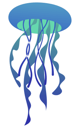 Medium Jellyfish
