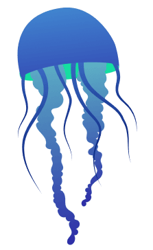 Small Jellyfish